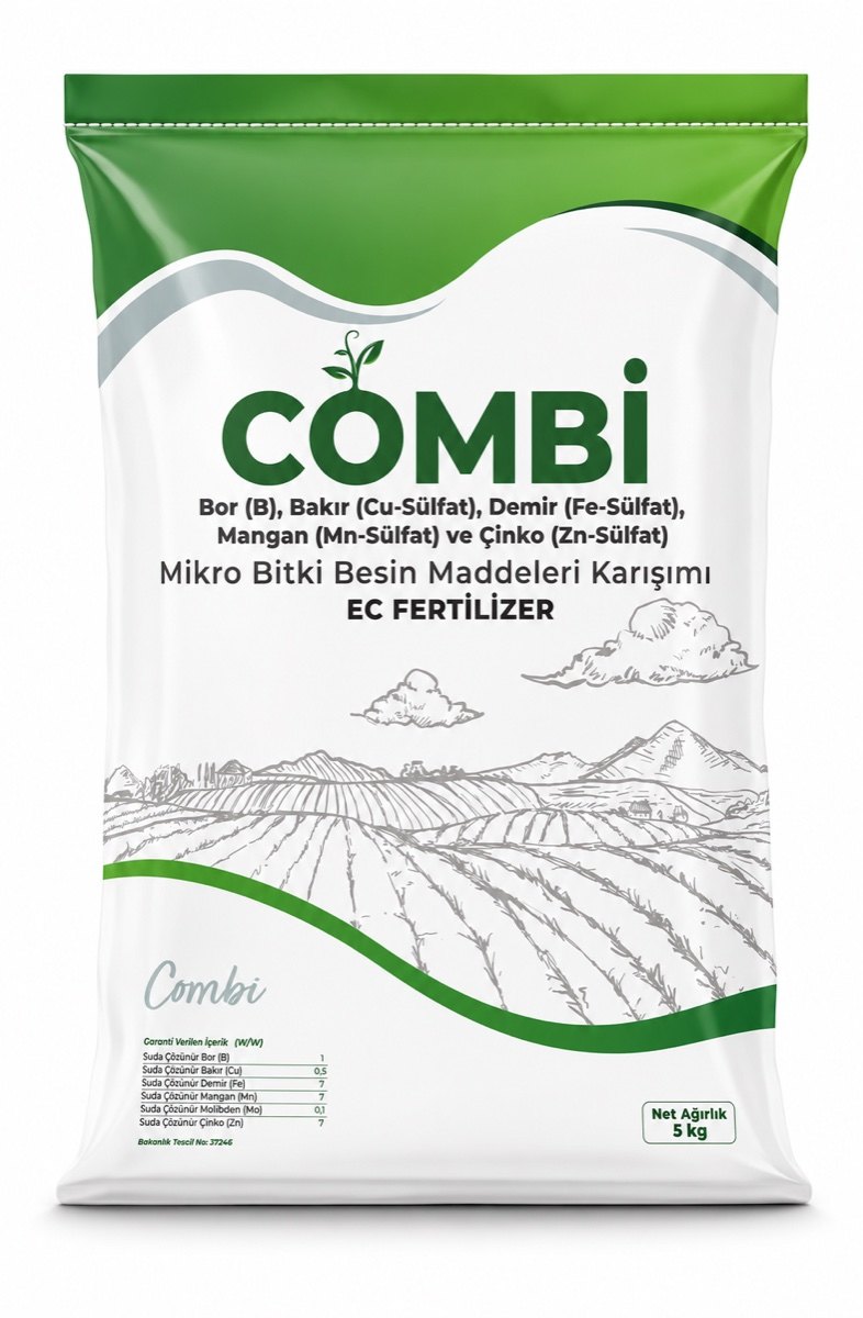 Combi 2