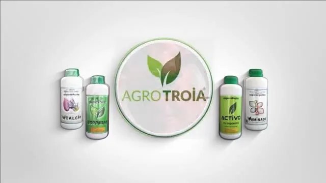 Mersin Mut'ta Zeytin Yetiştiriciliği ve Doğru Besleme