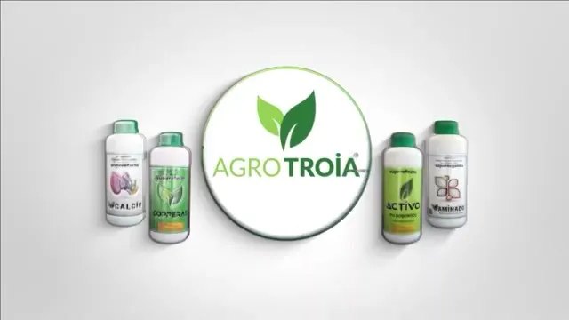 Manavgat'ta Zeytinde Rekor Verim: AgroTroia ile Başarı Hikayesi