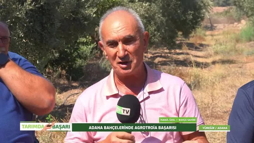 Adana'da Zeytin Yetiştiriciliği: Halkalı Lekeyle Mücadele