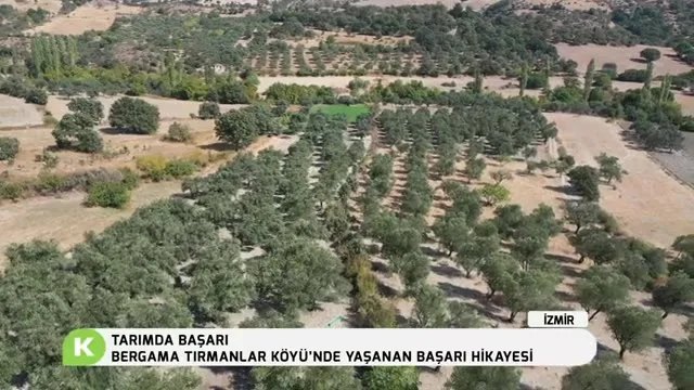 Bergama Tırmanlar'da Zeytinde Başarı Hikayesi