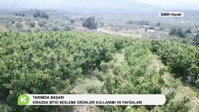 Kirazda Bitki Besleme Ürünleri: Toprak Altı Gübresiz 4 Yıl