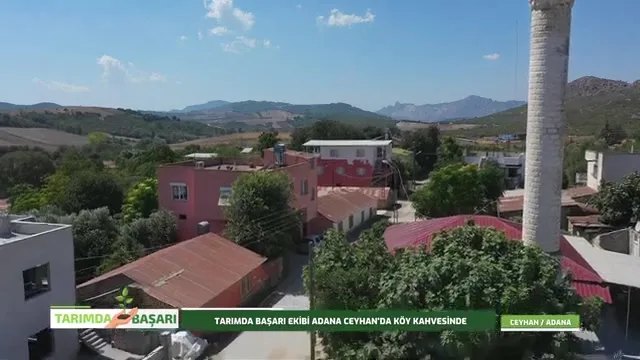 Ceyhan'da Zeytincilik: Köy Sohbetiyle Verim ve Besleme
