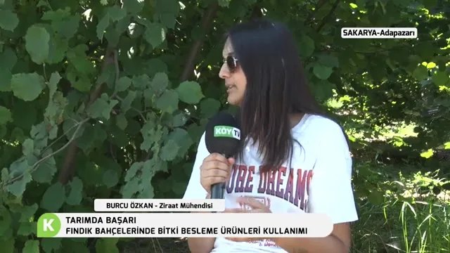 Fındık Bahçelerinde Bitki Besleme: Külleme ve Verim Sırrı