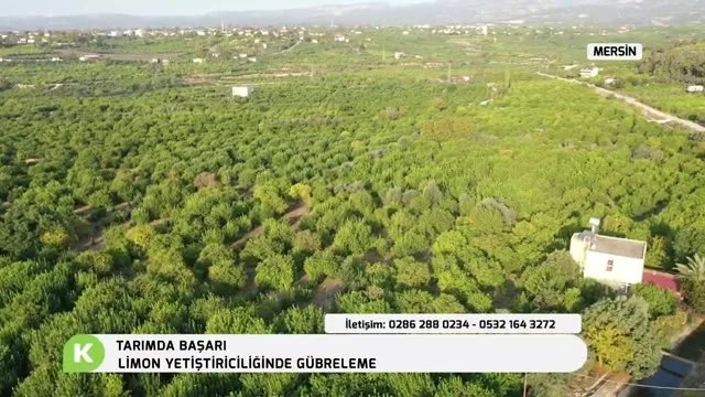 Limon Bahçelerinde Bitki Besleme: Az Girdiyle Çok Verim